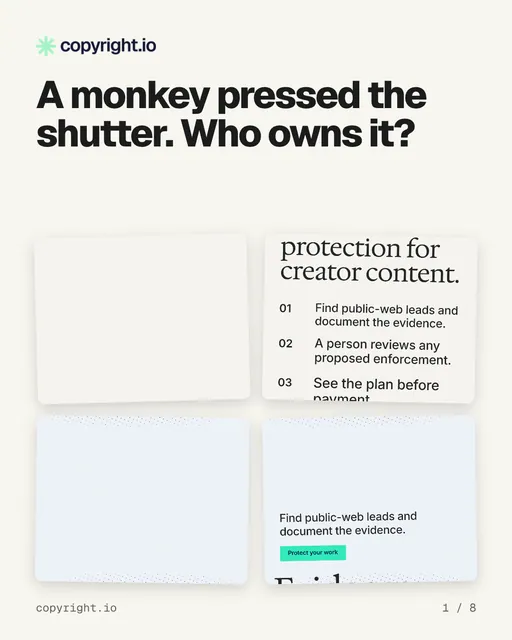 Carousel for copyright.io: "A monkey pressed the shutter. Who owns it?". Collection carousel, 8 slides, light palette.