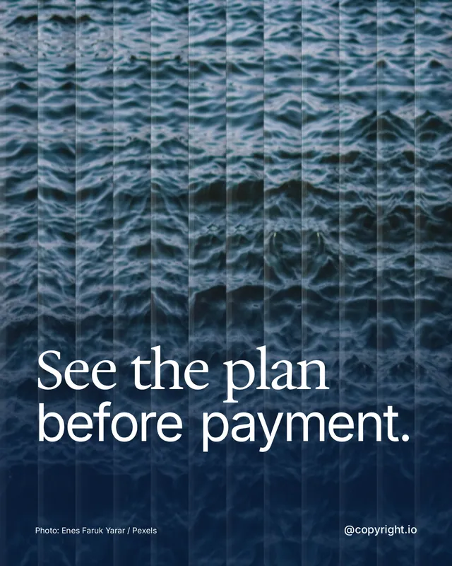 Instagram portrait post for copyright.io: "See the plan before payment." Photo style, technique:fluted glass layout, dark palette in grey, blue.