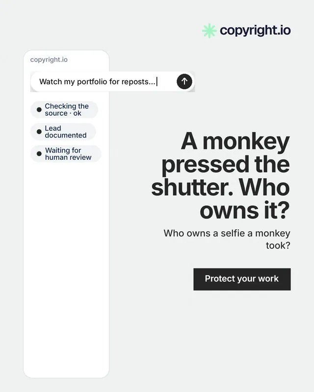 Instagram portrait post for copyright.io: "A monkey pressed the shutter. Who owns it?" Swiss style, right layout, light palette in white, grey.