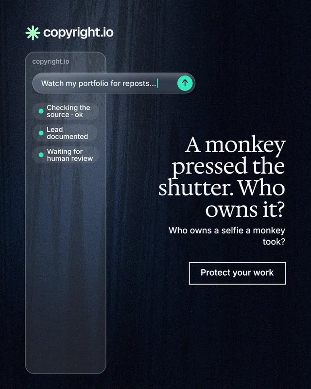 Instagram portrait post for copyright.io: "A monkey pressed the shutter. Who owns it?" Dark deco style, right layout, dark palette in blue, black, grey.