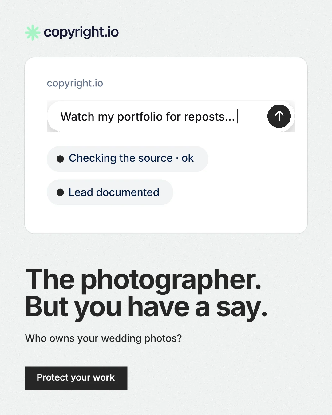 Instagram portrait post for copyright.io: "The photographer. But you have a say." Swiss style, bottom layout, light palette in white, grey.