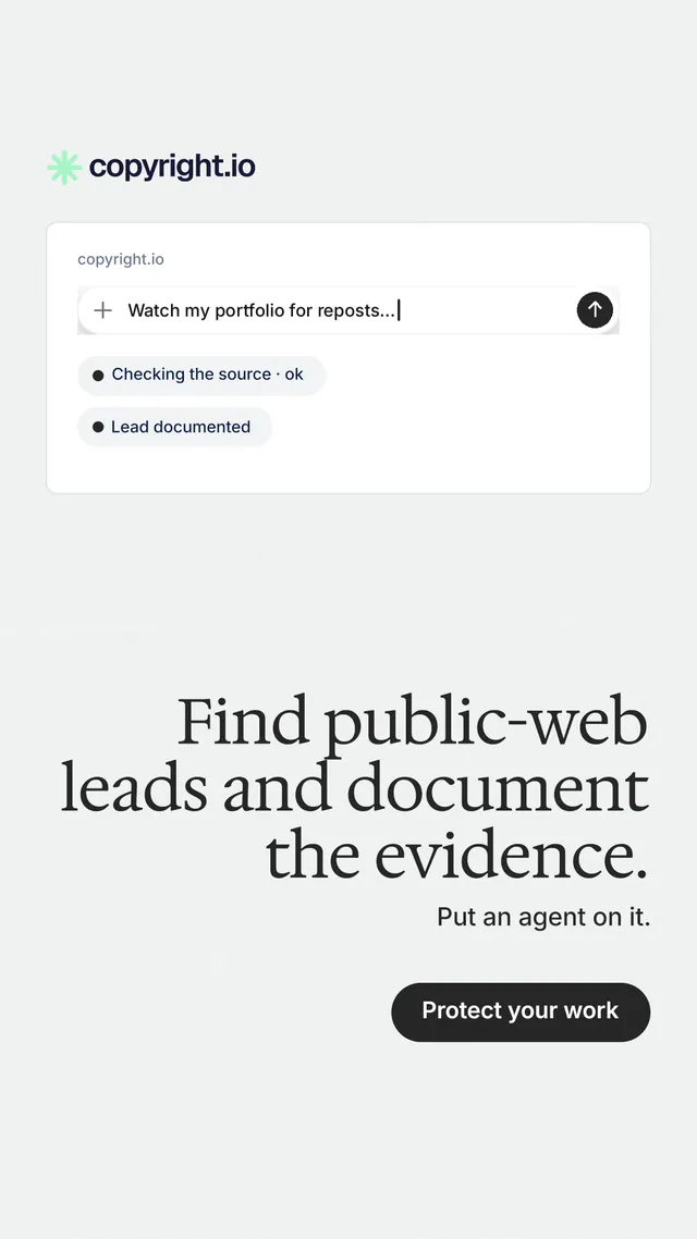 Instagram story for copyright.io: "Find public-web leads and document the evidence." Data card style, right layout, light palette in white.