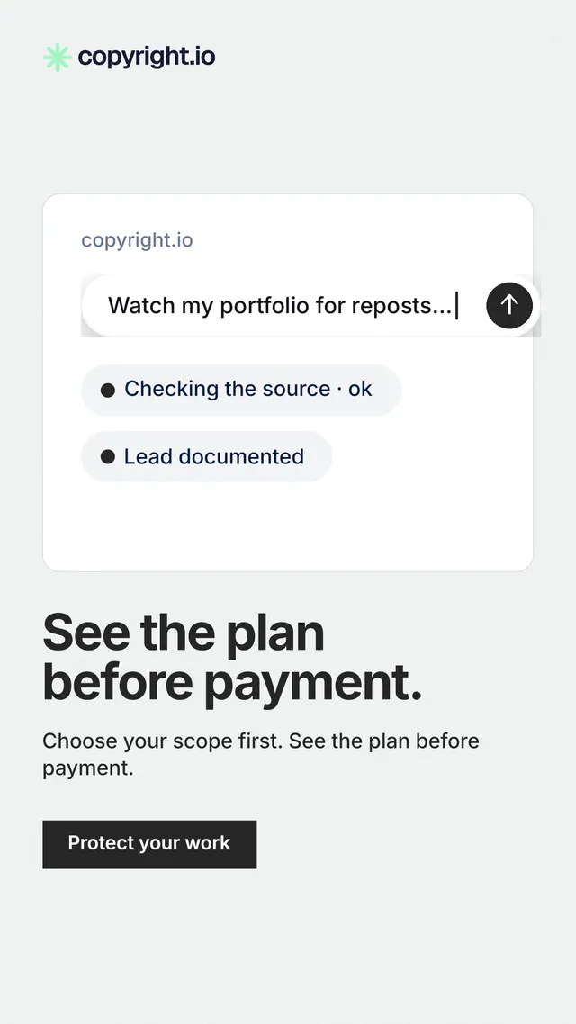 Instagram story for copyright.io: "See the plan before payment." Swiss style, bottom layout, light palette in white.