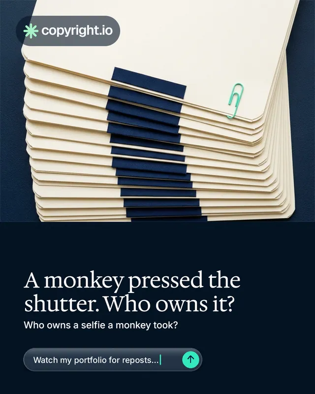 Instagram portrait post for copyright.io: "A monkey pressed the shutter. Who owns it?" Agentic glass style, bottom layout, dark palette in yellow, black, blue.