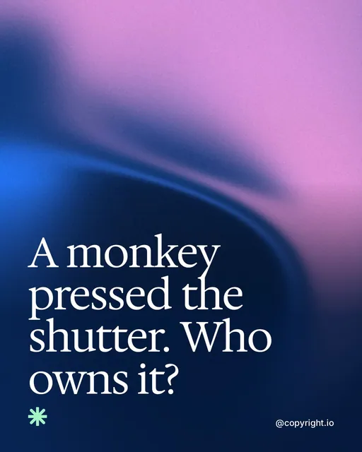 Video for copyright.io: "A monkey pressed the shutter. Who owns it?". Shader loop, 6.0 s, dark palette.
