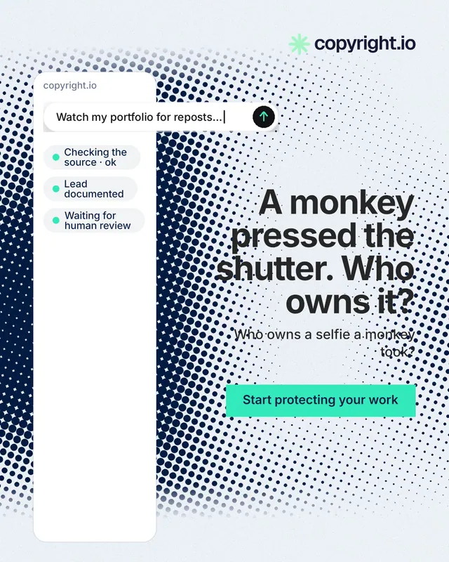 Instagram portrait post for copyright.io: "A monkey pressed the shutter. Who owns it?" Swiss style, right layout, light palette in white, blue, grey.