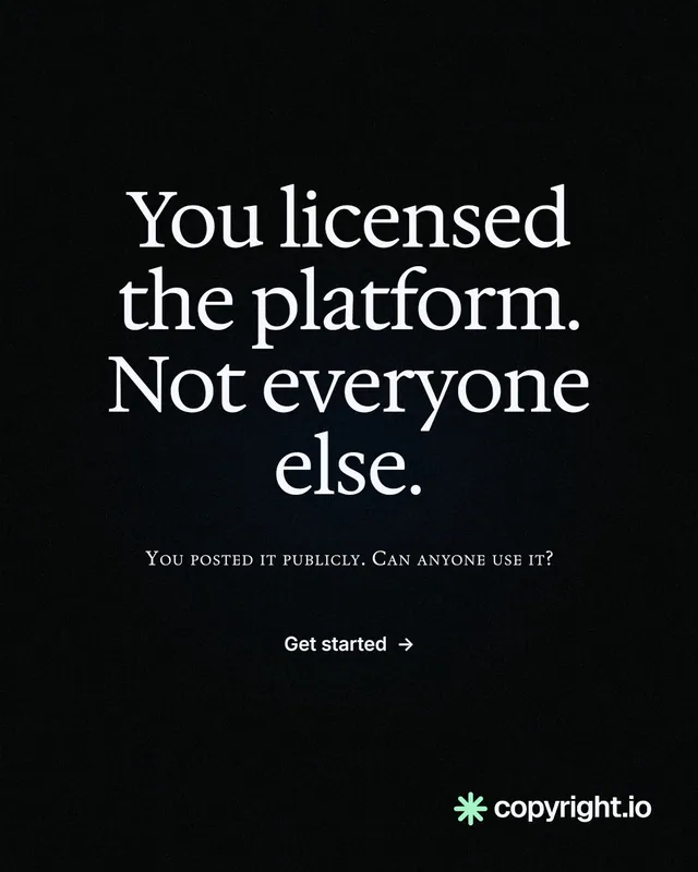 Instagram portrait post for copyright.io: "You licensed the platform. Not everyone else." Phosphor atlas style, smallcaps layout, dark palette in black.