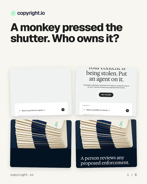 Carousel for copyright.io: "A monkey pressed the shutter. Who owns it?". Collection carousel, 8 slides, light palette.