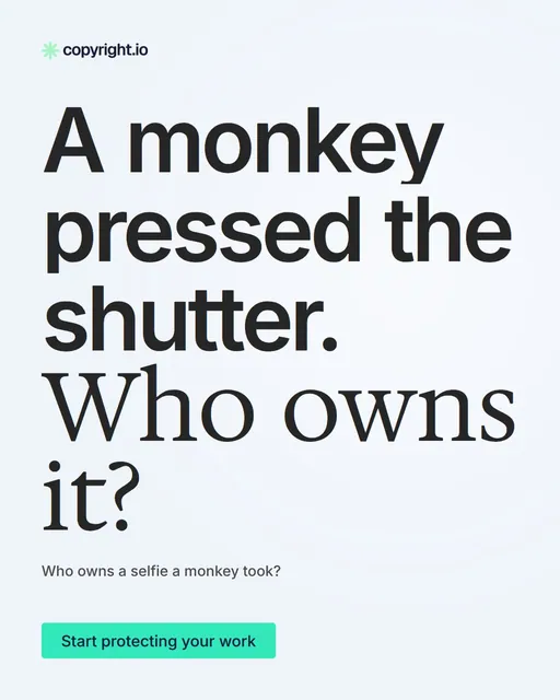 Video for copyright.io: "A monkey pressed the shutter. Who owns it?". Doc motion loop, 7.0 s, light palette.