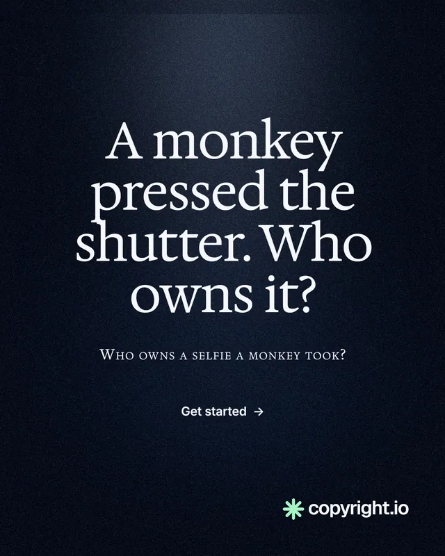 Instagram portrait post for copyright.io: "A monkey pressed the shutter. Who owns it?" Dark deco style, smallcaps layout, dark palette in black, grey.