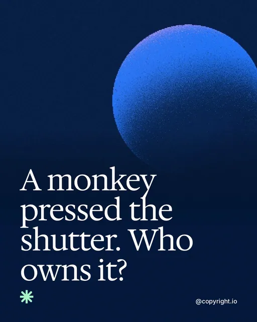 Video for copyright.io: "A monkey pressed the shutter. Who owns it?". Shader loop, 6.0 s, dark palette.