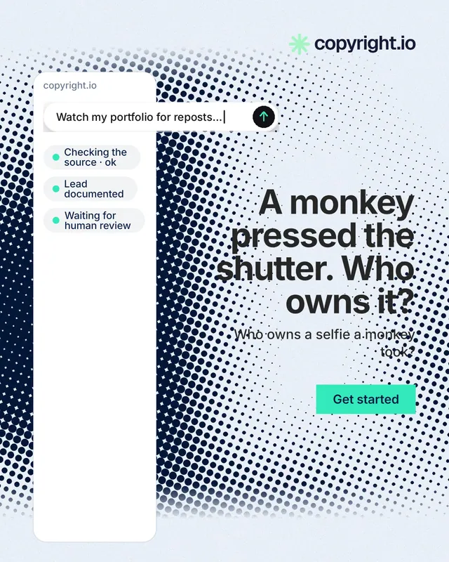 Instagram portrait post for copyright.io: "A monkey pressed the shutter. Who owns it?" Swiss style, right layout, light palette in white, blue, grey.