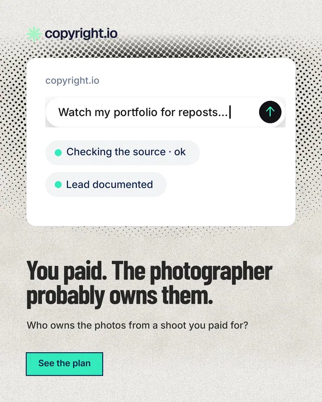 Instagram portrait post for copyright.io: "You paid. The photographer probably owns them." Ink sticker style, bottom layout, light palette in white, grey.