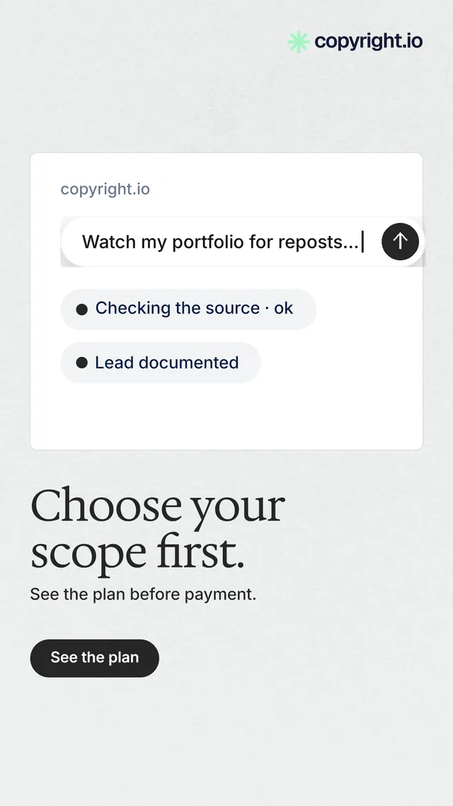 Instagram story for copyright.io: "Choose your scope first." Data card style, bottom layout, light palette in white, grey.