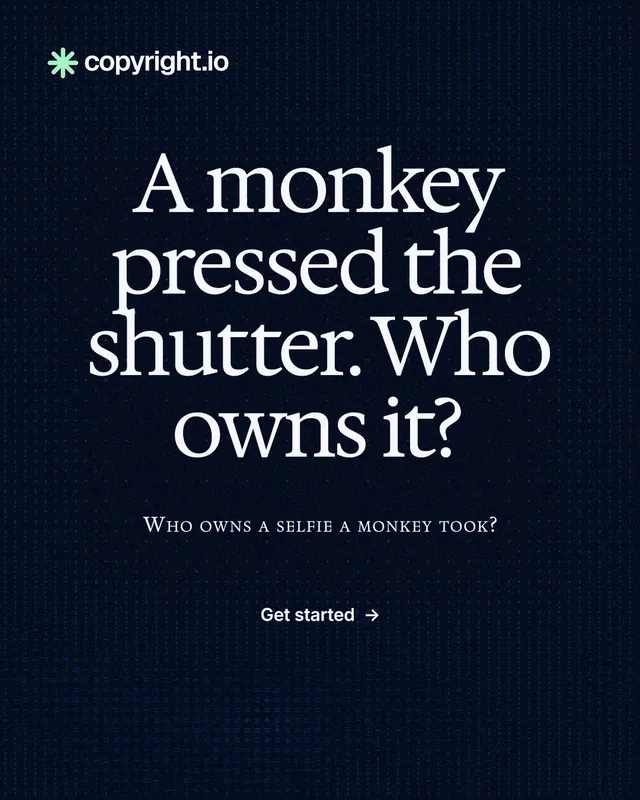 Instagram portrait post for copyright.io: "A monkey pressed the shutter. Who owns it?" Swiss style, smallcaps layout, dark palette in black, grey.