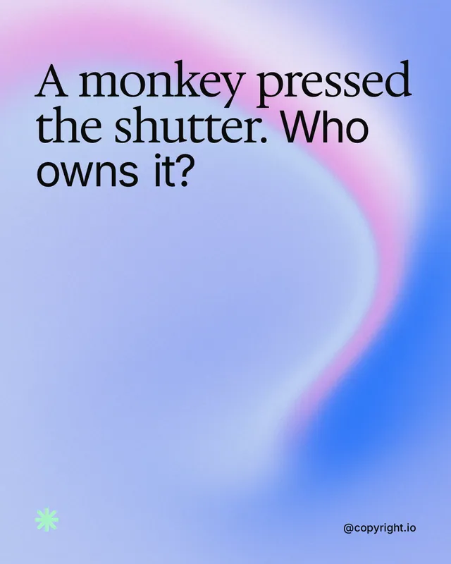 Instagram portrait post for copyright.io: "A monkey pressed the shutter. Who owns it?" Auto 4x5 style, technique:shader field layout, light palette in blue.