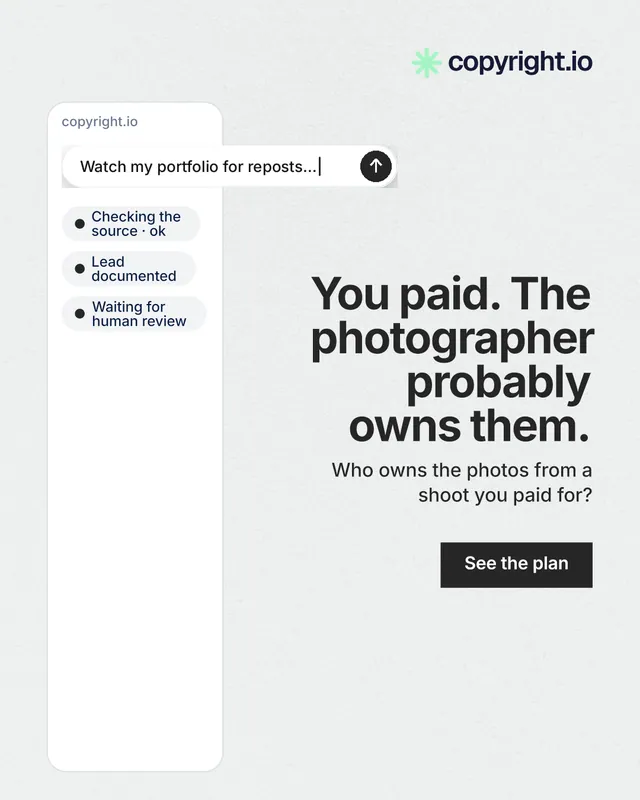 Instagram portrait post for copyright.io: "You paid. The photographer probably owns them." Swiss style, right layout, light palette in white, grey.