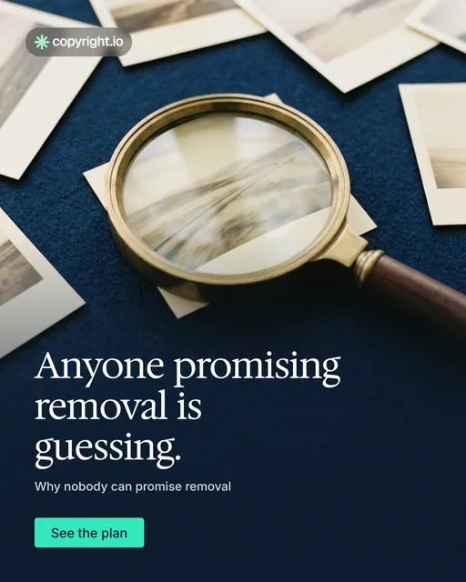 Video for copyright.io: "Anyone promising removal is guessing.". Doc motion loop, 6.0 s, dark palette.