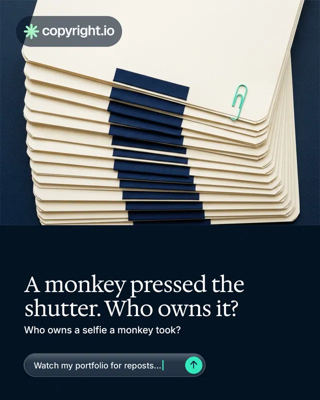 Instagram portrait post for copyright.io: "A monkey pressed the shutter. Who owns it?" Agentic glass style, bottom layout, dark palette in yellow, black, blue.
