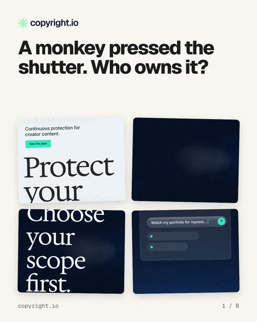 Carousel for copyright.io: "A monkey pressed the shutter. Who owns it?". Collection carousel, 8 slides, light palette.