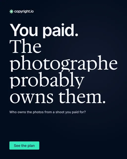 Video for copyright.io: "You paid. The photographer probably owns them.". Doc motion loop, 7.0 s, dark palette.
