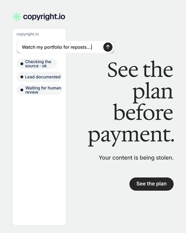 Instagram portrait post for copyright.io: "See the plan before payment." Data card style, right layout, light palette in white.