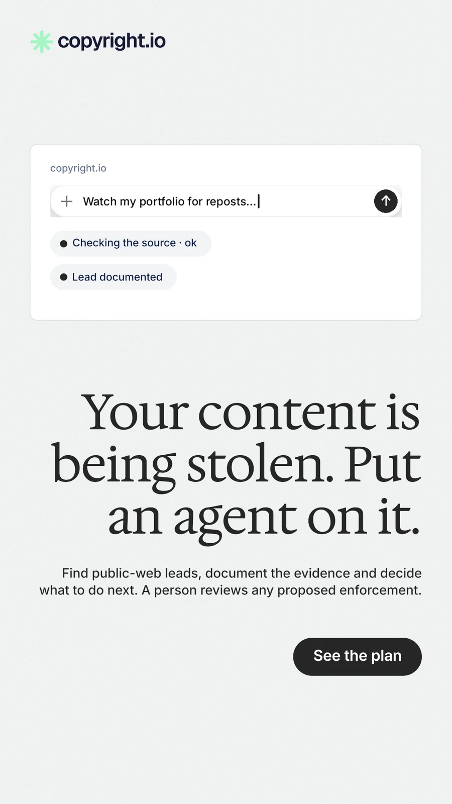 Instagram story for copyright.io: "Your content is being stolen. Put an agent on it." Data card style, right layout, light palette in white.