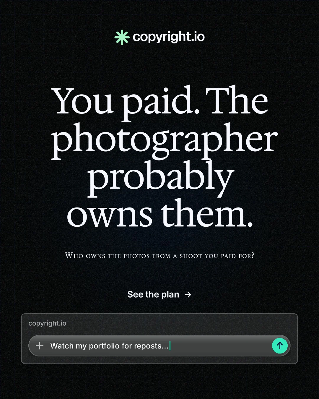 Instagram portrait post for copyright.io: "You paid. The photographer probably owns them." Phosphor atlas style, smallcaps layout, dark palette in black, grey.