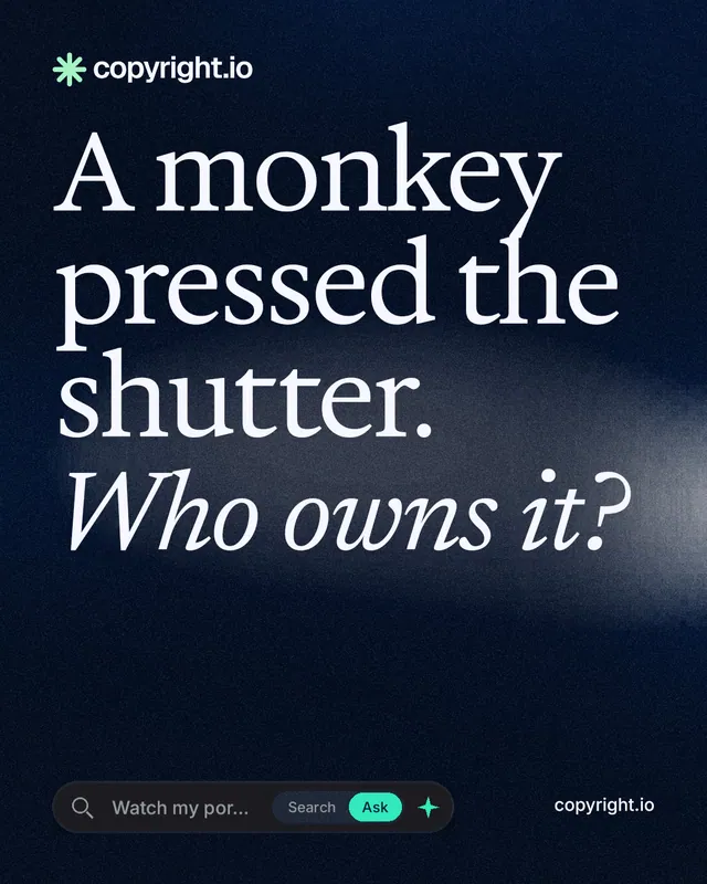 Instagram portrait post for copyright.io: "A monkey pressed the shutter. Who owns it?" Thermal style, poster layout, dark palette in black, blue, grey.