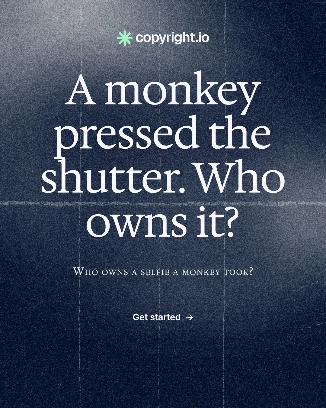 Instagram portrait post for copyright.io: "A monkey pressed the shutter. Who owns it?" Cyanotype style, smallcaps layout, dark palette in black, blue, grey.