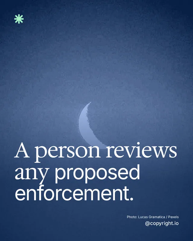 Instagram portrait post for copyright.io: "A person reviews any proposed enforcement." Duotone style, technique:pexels ingredient layout, dark palette in blue.