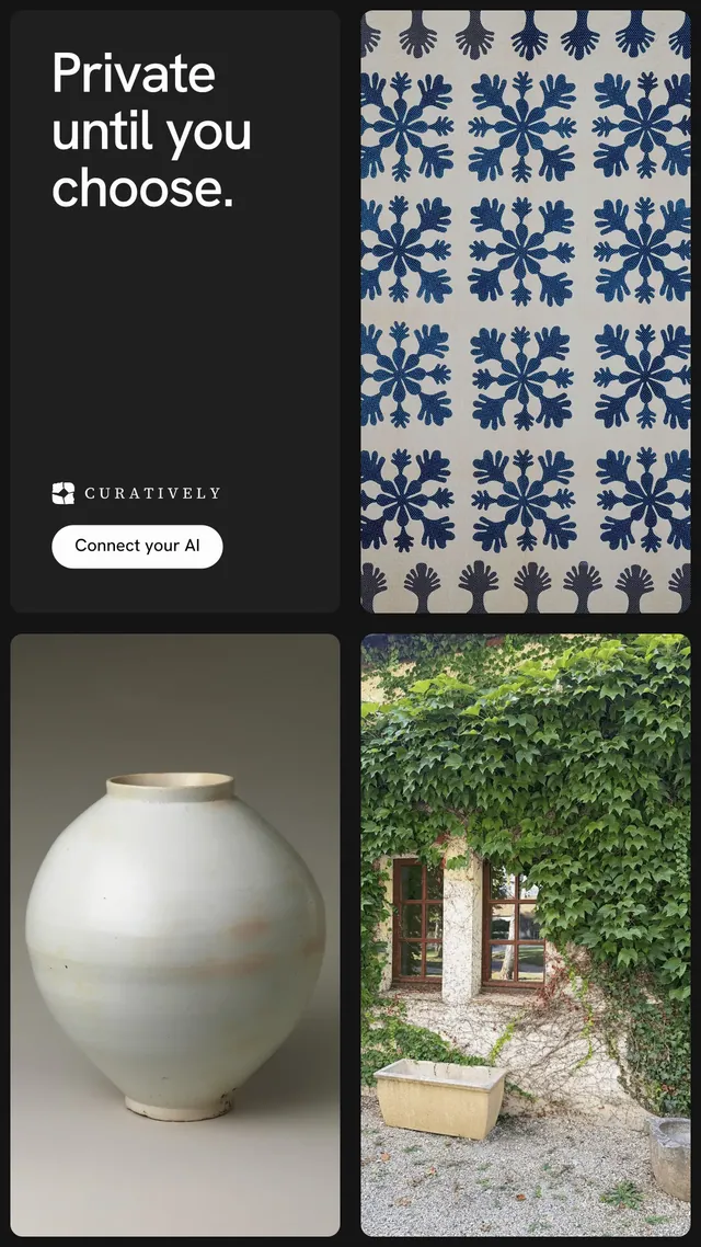 Instagram story for Curatively: "Private until you choose." Photo poster style, collage layout, dark palette in black, grey.