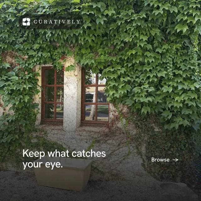 Instagram post for Curatively: "Keep what catches your eye." Minimal luxury style, image led layout, dark palette in black, green, grey.