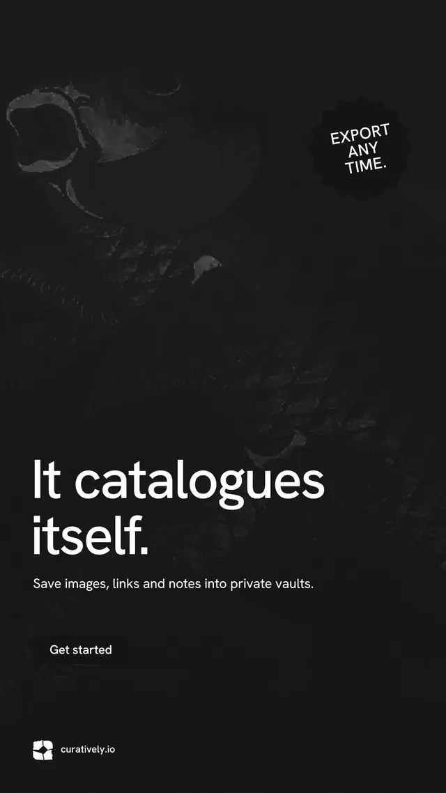 Instagram story for Curatively: "It catalogues itself." Swiss style, sticker layout, dark palette in black.