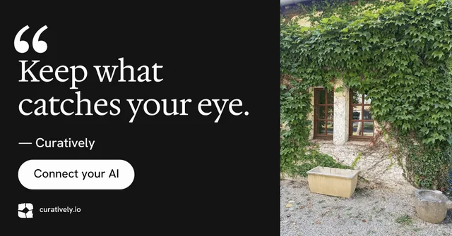 Social ad for Curatively: "Keep what catches your eye." Photo poster style, quote layout, dark palette in black, grey.