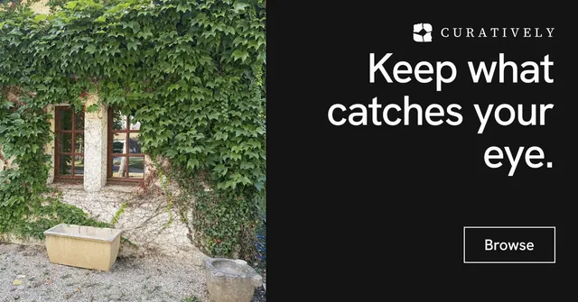 Social ad for Curatively: "Keep what catches your eye." Editorial style, right layout, dark palette in black, green, grey.