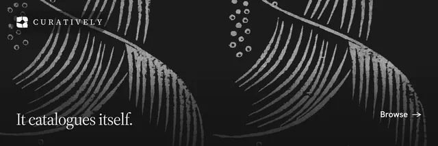 X header for Curatively: "It catalogues itself." Editorial style, image led layout, dark palette in black, grey.
