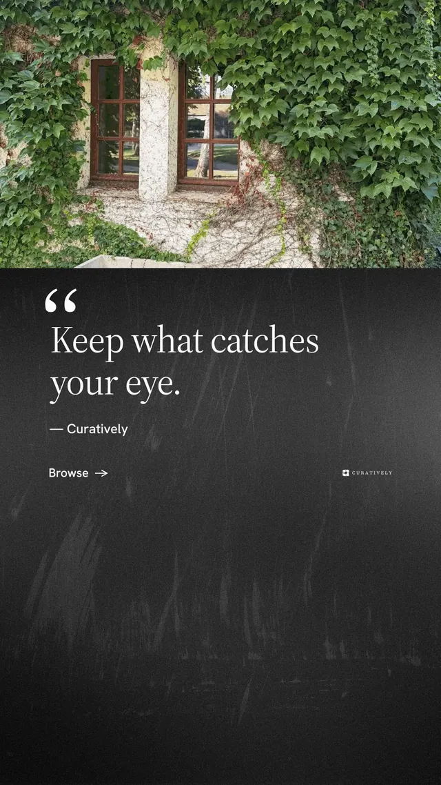 Instagram story for Curatively: "It catalogues itself." Minimal luxury style, quote layout, dark palette in black, green, grey.