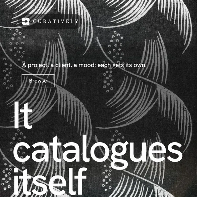 Instagram post for Curatively: "All of it, in one grid." Editorial style, oversized layout, dark palette in grey, black.