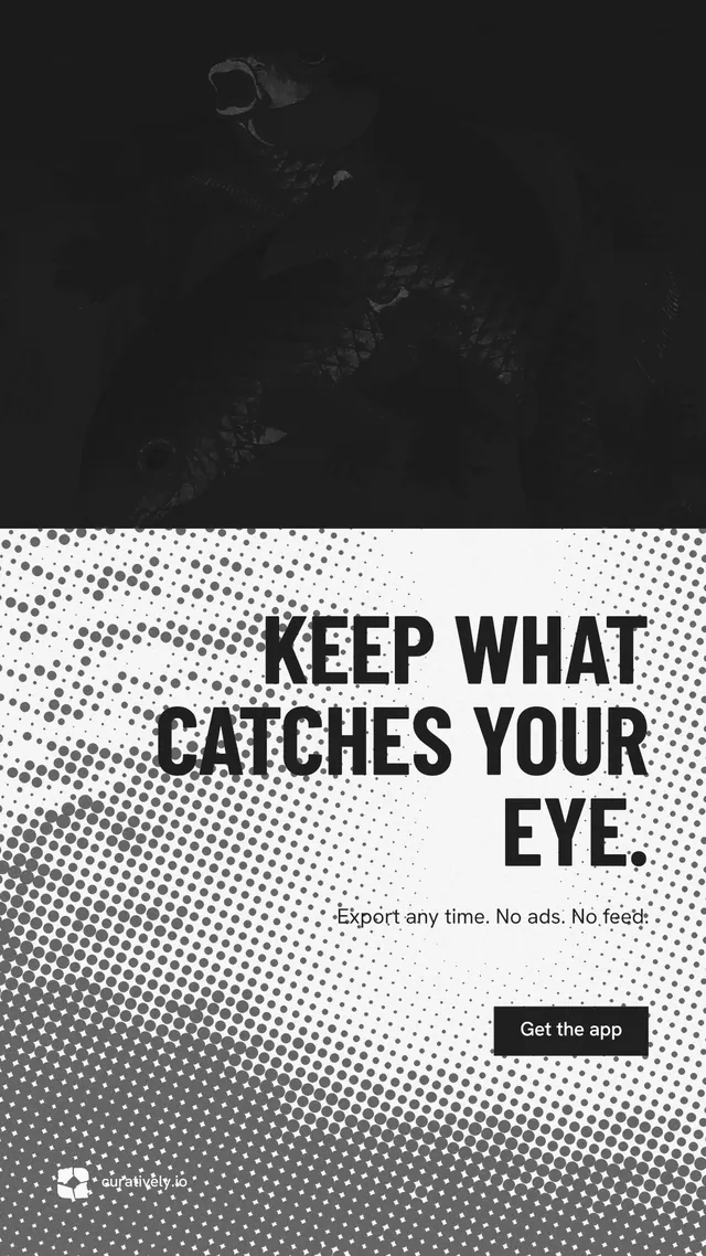 Instagram story for Curatively: "Keep what catches your eye." Retro print style, right layout, light palette in black, grey, white.