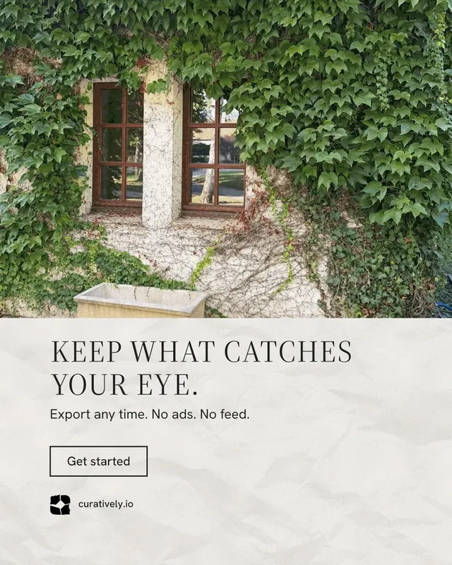 Instagram portrait post for Curatively: "Keep what catches your eye." Editorial style, bottom layout, light palette in white, green, grey.