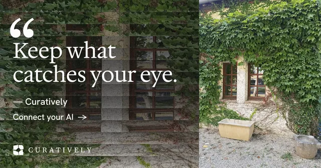 Social ad for Curatively: "Keep what catches your eye." Minimal luxury style, quote layout, dark palette in grey, black, green.