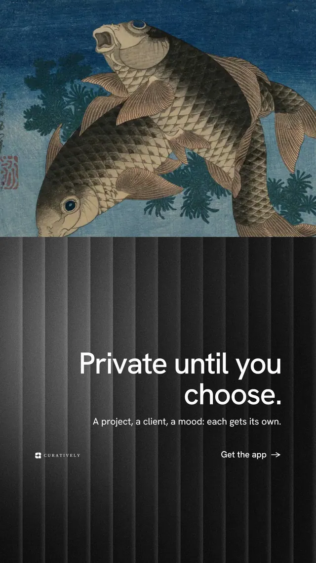 Instagram story for Curatively: "Private until you choose." Minimal luxury style, right layout, dark palette in black, grey.