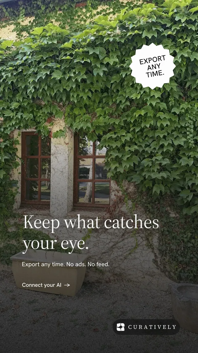 Instagram story for Curatively: "Keep what catches your eye." Minimal luxury style, sticker layout, dark palette in grey, black, green.