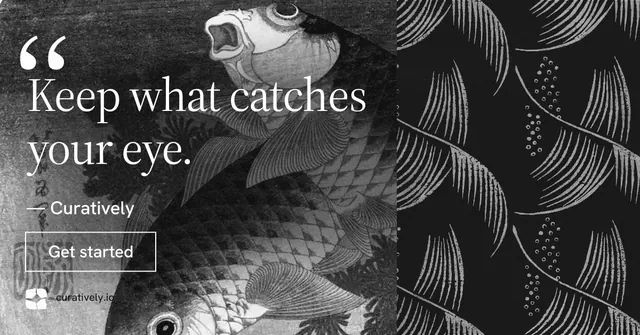 Social ad for Curatively: "It catalogues itself." Editorial style, quote layout, dark palette in black, grey.