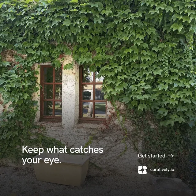 Instagram post for Curatively: "Keep what catches your eye." Minimal luxury style, image led layout, dark palette in black, green, grey.