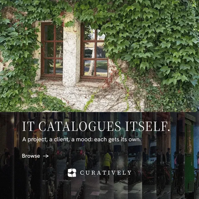 Instagram post for Curatively: "It catalogues itself." Minimal luxury style, bottom layout, dark palette in black, green, grey.