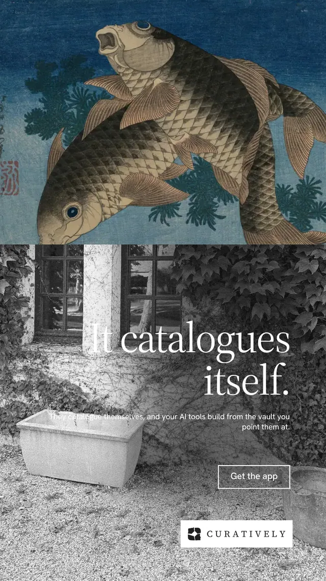 Instagram story for Curatively: "It catalogues itself." Editorial style, right layout, dark palette in grey, blue.