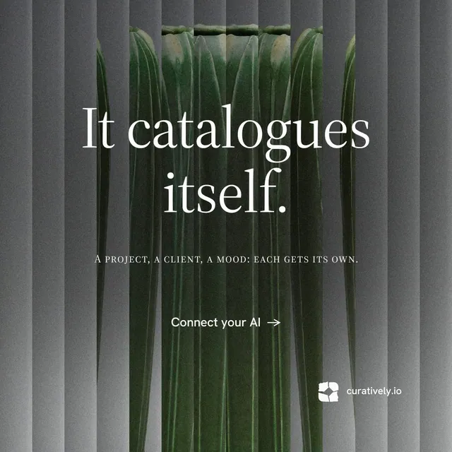 Instagram post for Curatively: "It catalogues itself." Minimal luxury style, smallcaps layout, dark palette in grey, black.