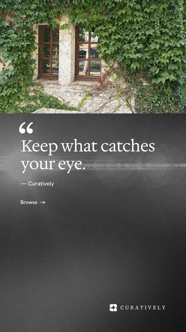 Instagram story for Curatively: "It catalogues itself." Minimal luxury style, quote layout, dark palette in grey, black.